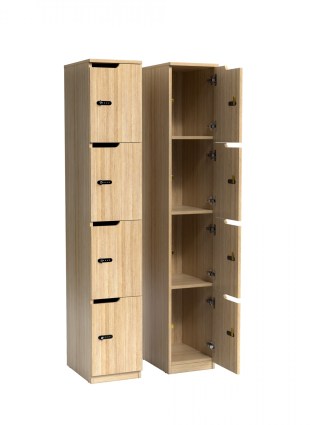 Knox-Lockers-Clear-Cut-LK4D-1