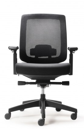 Parker Task Chair with Head Rest