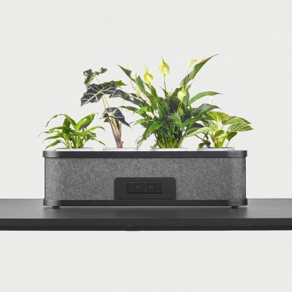 Power-Planter-Front-View-Noir_952x952