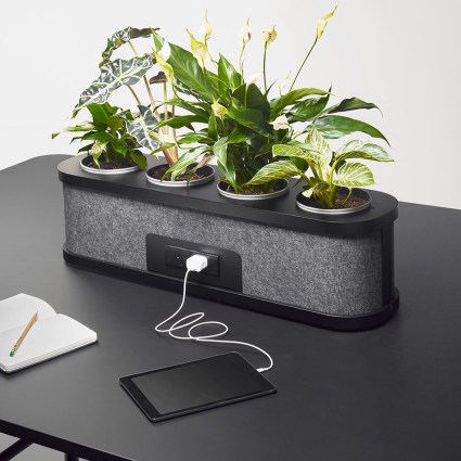 Rosie-HR-RO-03-Power-Planter_Noir_952x952